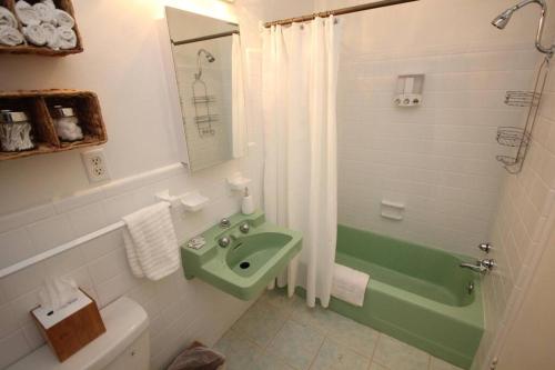 a bathroom with a green sink and a shower at Cute Lil Oasis on Osprey in Sarasota