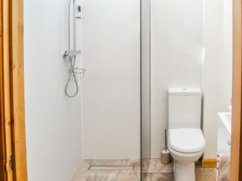 a bathroom with a toilet and a glass shower door at The Pump House in Cawston