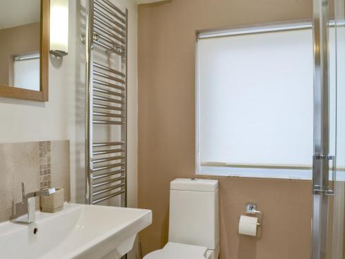 a bathroom with a toilet and a sink and a window at The Bishops Court in York