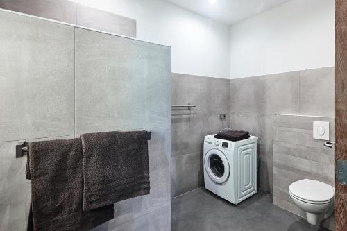 une salle de bains avec lave-linge et toilettes dans l'établissement Blush Appartement Centrum Middelburg, à Middelbourg