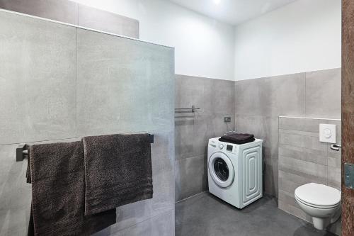 a bathroom with a washing machine and a toilet at Blush Appartement Centrum Middelburg in Middelburg