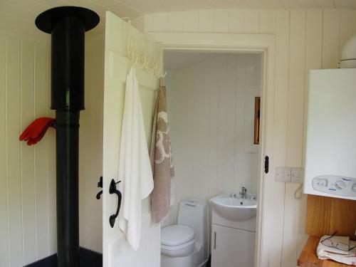 La petite salle de bains est pourvue de toilettes et d'un lavabo. dans l'établissement Beunos Hut -ukc4752, à Tremeirchion