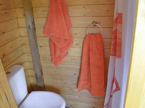 a bathroom with a toilet and a towel at Shepherds Rest in Wedmore