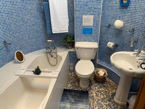 a blue tiled bathroom with a toilet and a sink at Rivers Edge Cottage in Shotley Bridge