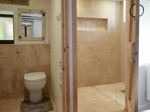 a bathroom with a toilet and a glass shower at Mad Nelly Cottage in Moreleigh