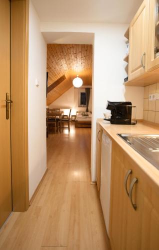 a kitchen with a hallway leading to a dining room at Apartmány Bramborka in Janov nad Nisou