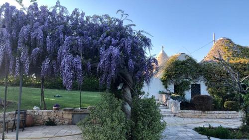 Trulli Atmosfera – Photos 4
