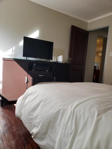 a bedroom with a bed and a tv on a dresser at Departamento Caseros in Salta