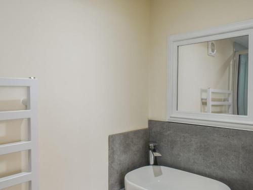 a bathroom with a sink and a mirror at Lynch Annexe in Appledore