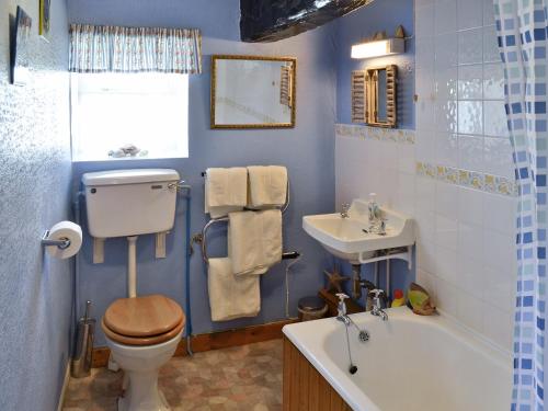 a blue bathroom with a toilet and a sink at Allt Maen - E3266 in Lowick Green