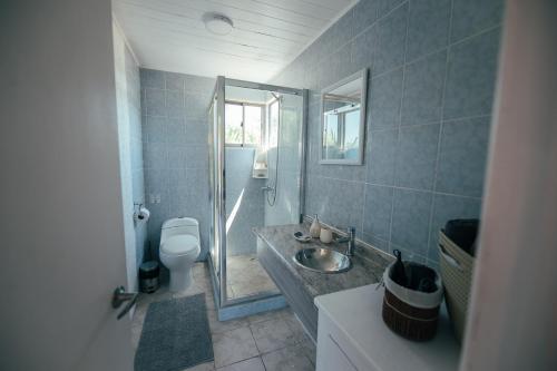 a bathroom with a shower and a toilet and a sink at Bungalow Miramar & Jeronimo at Casa Marin Vineyards in Cartagena