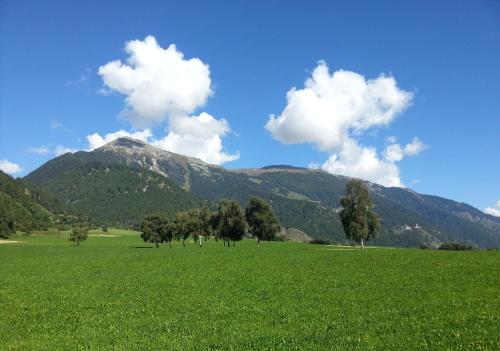 a field of green grass with trees and a mountain at Hotel Chavalatsch in Müstair