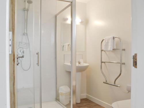 een badkamer met een douche en een wastafel bij Rockworks Chalets No,6 - Uk7045 in Saint Marys