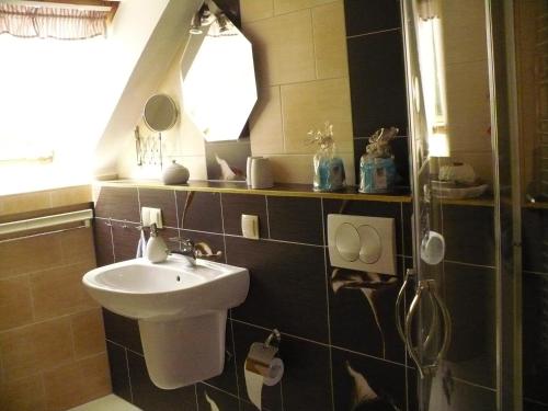 W łazience znajduje się umywalka i prysznic. w obiekcie Wohnen bei Gabi w mieście Walkendorf