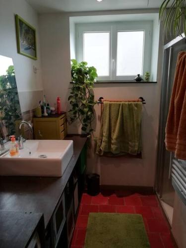 baño con lavabo y ventana en Charmante maison de village en Val de Loire, en Rivarennes