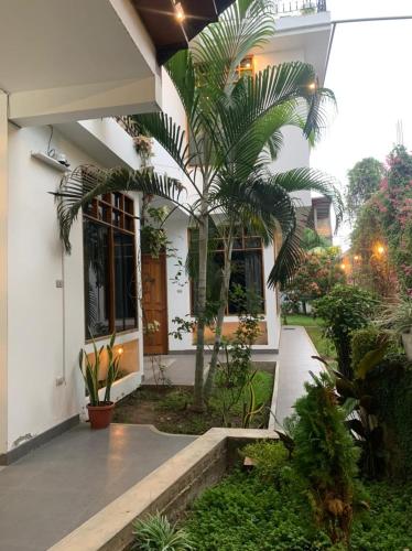 a house with a palm tree in front of it at Alojamiento Familiar Custodia in Tarapoto