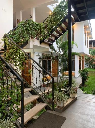 a staircase in a house with plants at Alojamiento Familiar Custodia in Tarapoto