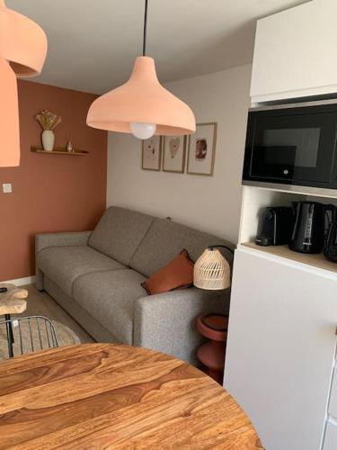 un salon avec un canapé et une télévision dans l'établissement Magnifique studio - en hypercentre et rue piétonne - 1er Adrien Du Bouché, à Limoges