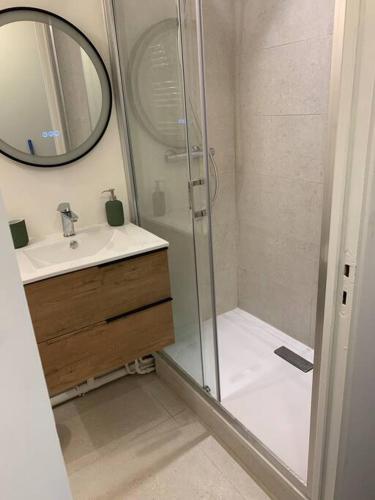 une salle de bain avec une douche, un lavabo et un miroir dans l'établissement Magnifique studio - en hypercentre et rue piétonne - 1er Adrien Du Bouché, à Limoges