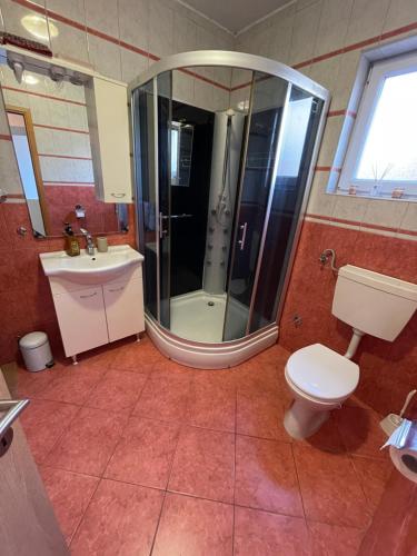 ein Bad mit einer Dusche, einem WC und einem Waschbecken in der Unterkunft Apartmani Štrk II in Ražanac