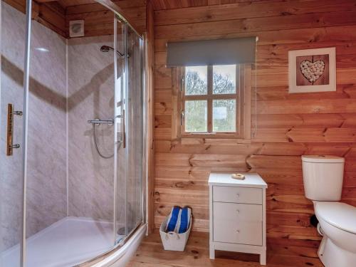 a bathroom with a shower and a toilet at Dukes Wood - Ukc2193 in Caunton
