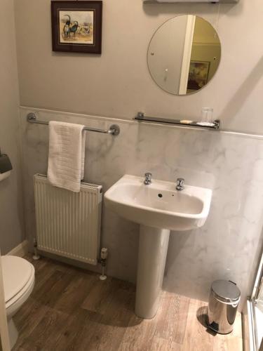 a bathroom with a sink and a mirror and a toilet at Burton Lodge Guest House & Spa in Brandesburton