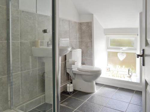 LlanfachraethにあるPenteryfnのバスルーム(トイレ、洗面台、シャワー付)
