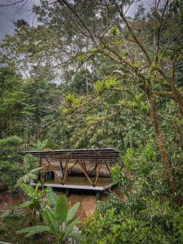 a building in the middle of a forest at The Scarlet Villas in Ojochal