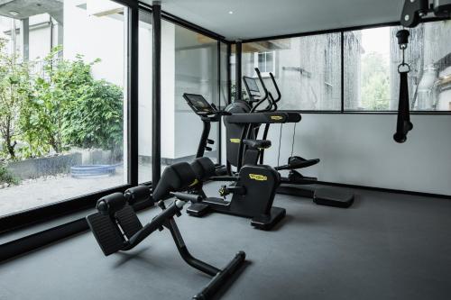 Academia e/ou comodidades em Stadthotel Goldenes Schiff