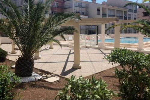 een binnenplaats met een zwembad en een palmboom bij Beau studio cabine avec balcon, vue piscine, parking privé, climatisation, solarium, laverie in Cap d'Agde