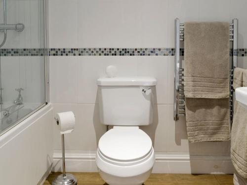 een witte badkamer met een toilet en een douche bij Clinton Cottage in Yaxham