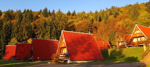 a group of houses with red roofs in a forest at Perełka Bieszczady Domki in Cisna