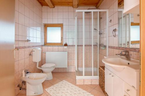 La salle de bains est pourvue de toilettes, d'un lavabo et d'une douche. dans l'établissement Svisla, à Kranj