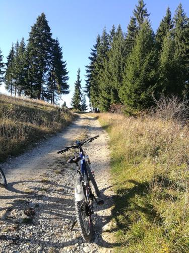 a bike is parked on a dirt road at Holiday Raj in Bešeňová