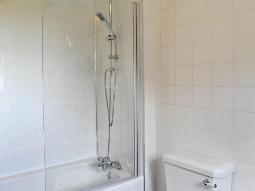 een badkamer met een douche, een toilet en een wastafel bij Glendale Mews in Haltwhistle