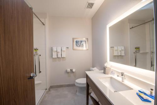 a bathroom with a sink and a toilet and a mirror at Holiday Inn Express & Suites - Houston Westchase - Westheimer, an IHG Hotel in Houston