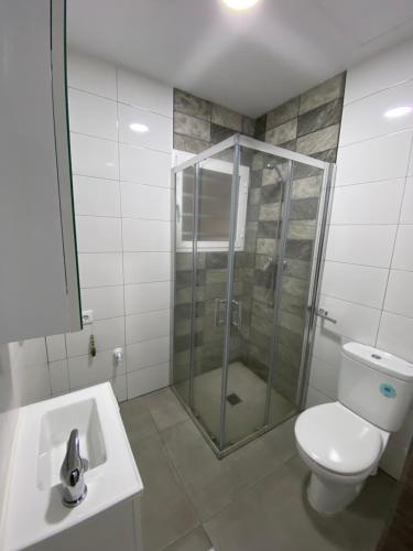 La salle de bains est pourvue d'une douche, de toilettes et d'un lavabo. dans l'établissement APARTAMENTOS PASCUAL, à El Cuervo