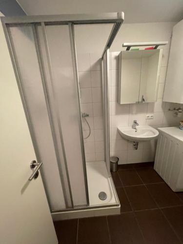La salle de bains est pourvue d'une douche et d'un lavabo. dans l'établissement City Appartement 4910, à Ried im Innkreis