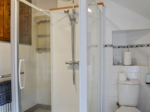 a bathroom with a shower and a toilet at The Old Brewery in Builth Wells