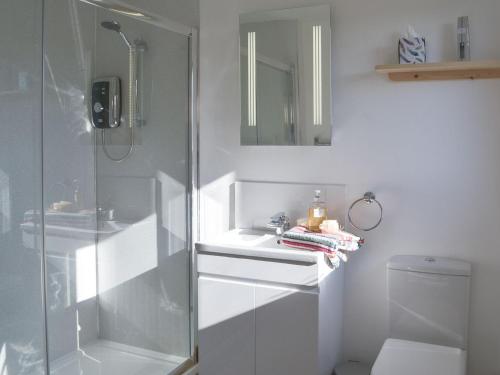 a bathroom with a shower and a sink and a toilet at The Platt in Dunterton