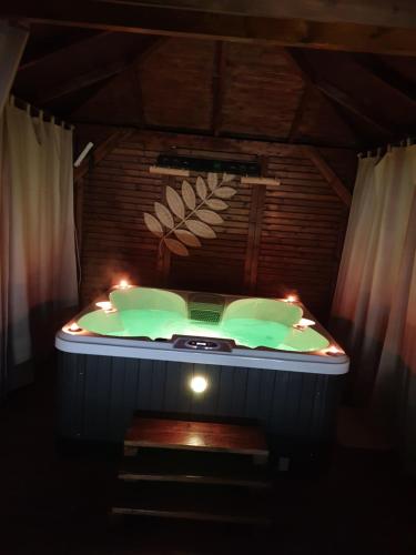 jacuzzi en una habitación con luces en Les Mini-Chaumières en Saint-Martin-Saint-Firmin