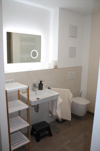 a bathroom with a sink and a toilet and a mirror at Traumwohnung Füssen 22 in Füssen