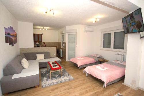 TV a/nebo společenská místnost v ubytování Apartman Mladen