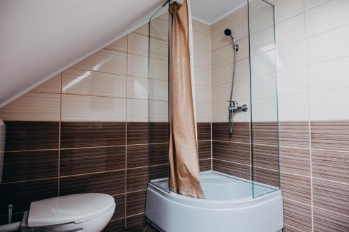 La salle de bains est pourvue de toilettes et d'une douche en verre. dans l'établissement Casa Roland, à Gheorgheni