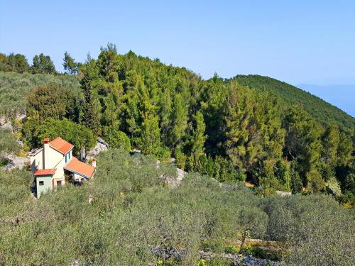 Green Olive's House Marinka