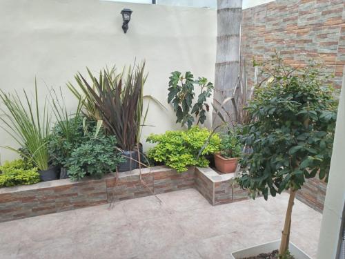 Lucipri – Photos 4