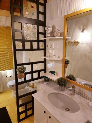 a bathroom with a sink and a mirror and a toilet at La Casa di Agata Deluxe in Fucecchio