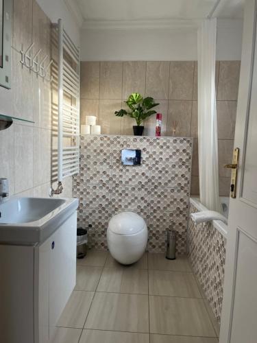 a bathroom with a toilet and a sink at Jager Guesthouse in Sopron