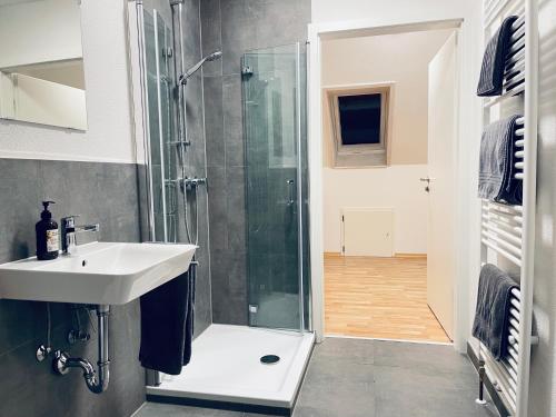 ein Bad mit einem Waschbecken und einer Dusche in der Unterkunft Apartment am Hohlbach in Gruibingen in Gruibingen