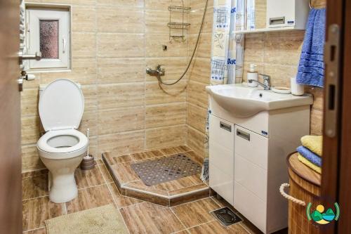 a bathroom with a toilet and a sink at Apartman Pogled Arilje in Arilje